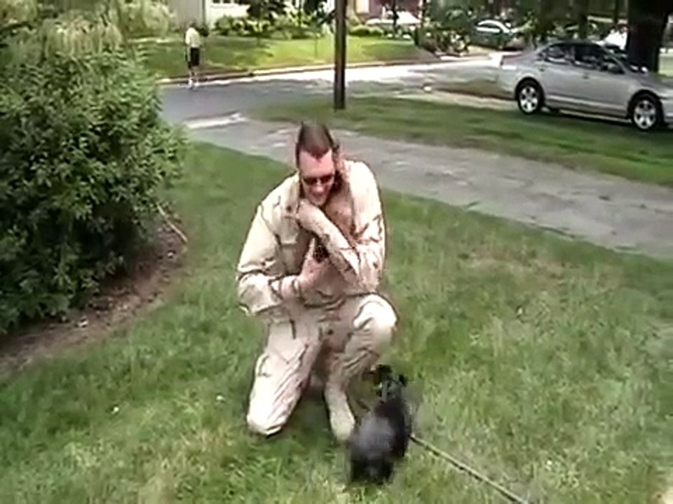 Dachshund Puppies Welcome Home Soldier