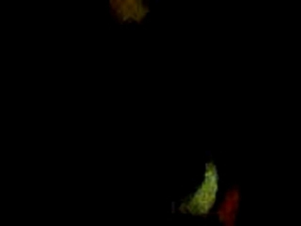 Video0019