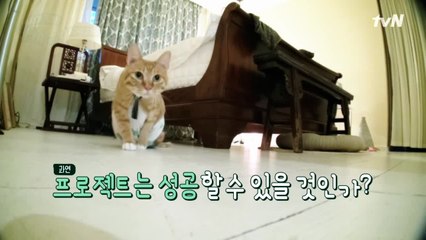 [예고] 김완선, 육냥이 친해지기 프로젝트 2탄!