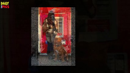 Hilarious Photos Of Dogs - How To Prevent Getting The Best ATM With A Pet - Daily Fun Pics