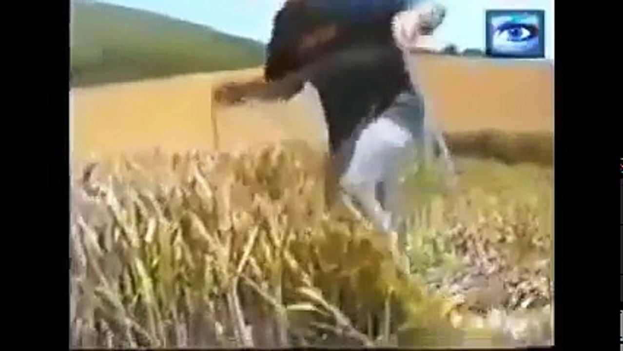 Les 10 Plus Grand Phénomènes PARANORMAUX Inexpliqués à Ce Jour  Documentaire Paranormal