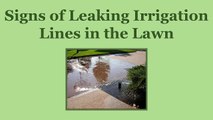 Important Signs of Leaking Irrigation in Lawn