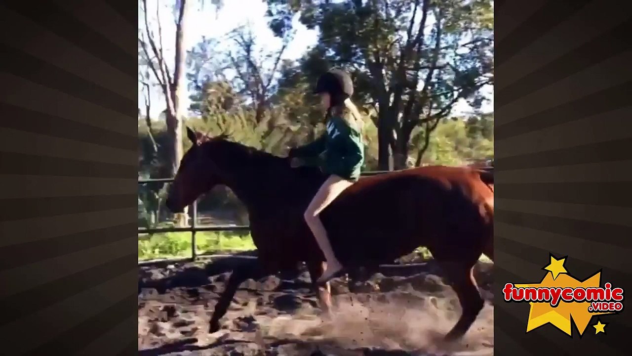 Horse Fail