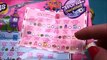 Surprises RARE Find ! Surprizamals Despicable Me Shopkins 8 Lalaloopsy Minis Paint Cans Mineez Minio