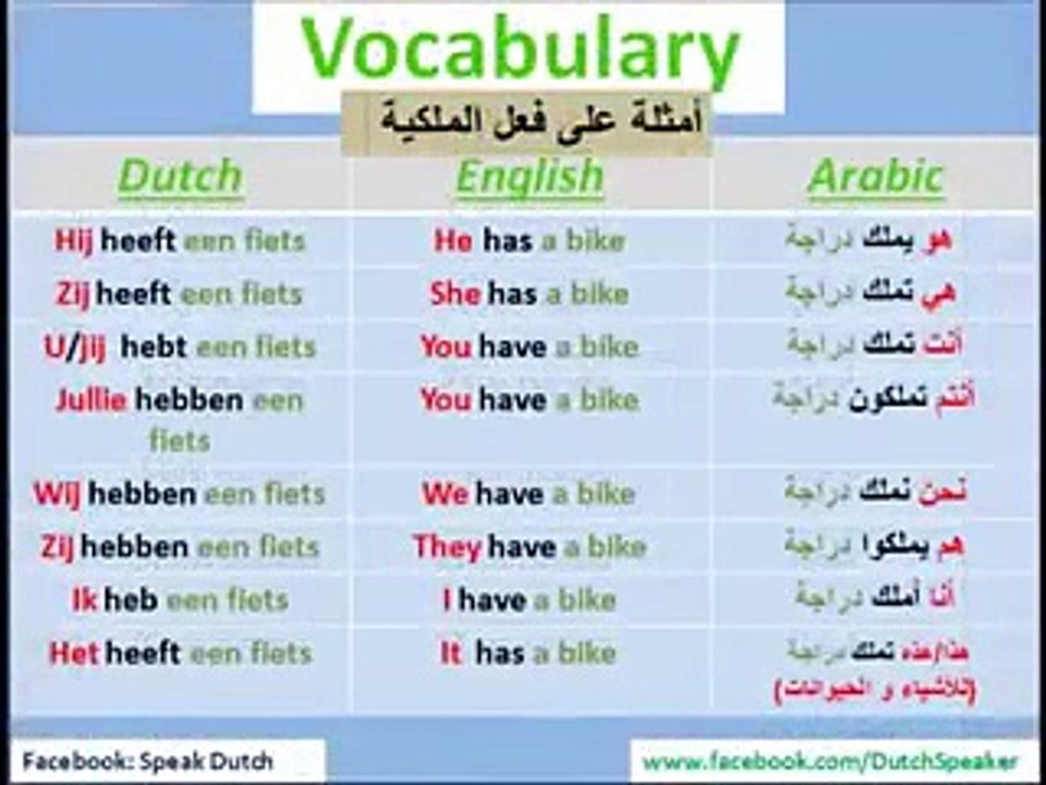 Learn Dutch