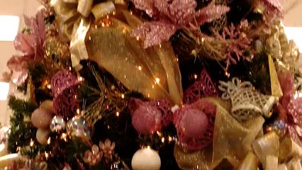 7 Estrellas 26 Octubre 2017