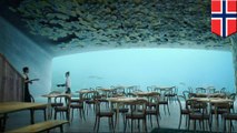 Norway has designed Europe's first underwater restaurant