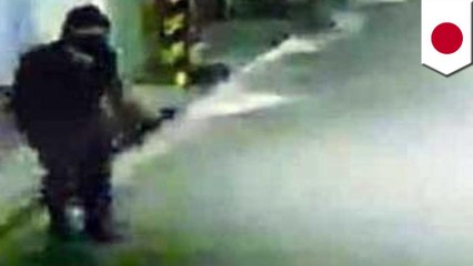 Japanese police finally catch 74-year-old grandpa ninja