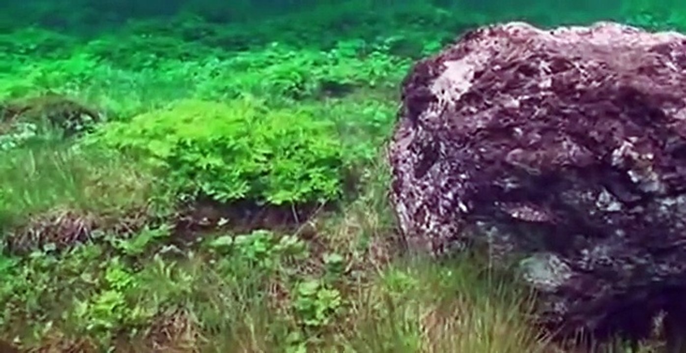Underwater
