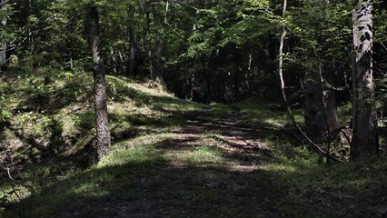 Capgras The Movie Voice Over