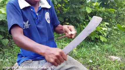 Amazing Quickest Bird Trap (100% Work) - Best Bird Trap in Row