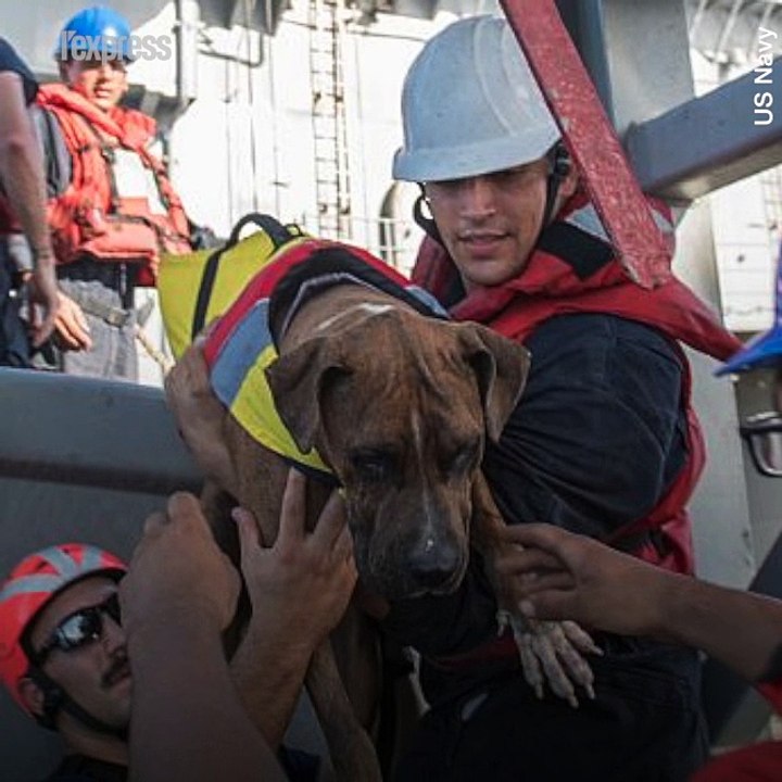 Deux Américaines secourues après cinq mois d'errance dans le Pacifique