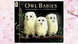 Download PDF Owl Babies FREE