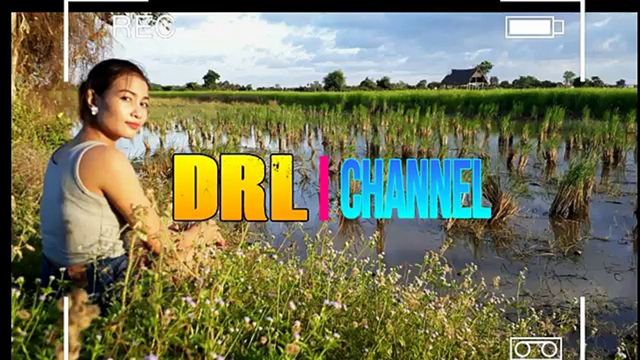 Amazing Brave Couple Catching snake on Rice field And Beautiful Catch Tree Snake Style 2017