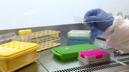 La Haye: un nouveau laboratoire ADN pour les personnes disparues