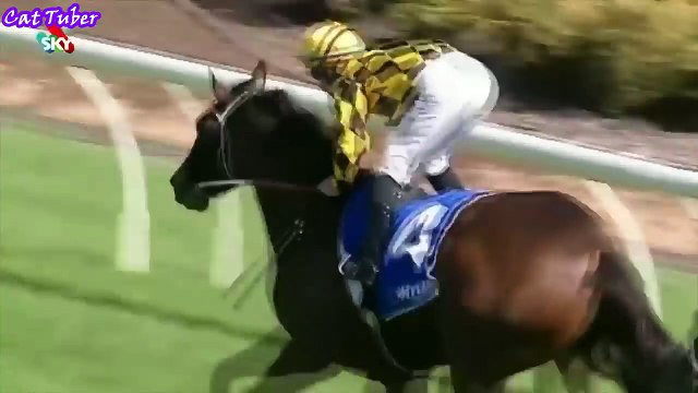 HARDEST VERSION AFV Try Not to Laugh or Grin While Watching Funniest Vines of best funny videos 2017