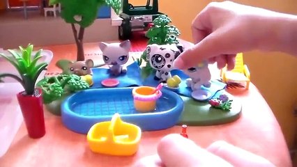 Little PetShop une journee a la piscine [Littlest Petshop]