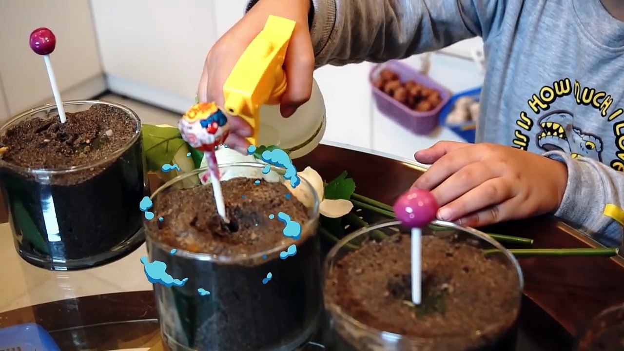 Learn Colors with Bad Baby Eating Giant Candy Lollipops! Johny Johny yes papa Song for Kids - KTRV