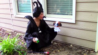Maleficent turns Spiderman into Spiderbaby! w/ Frozen Elsa funny superhero in real life video