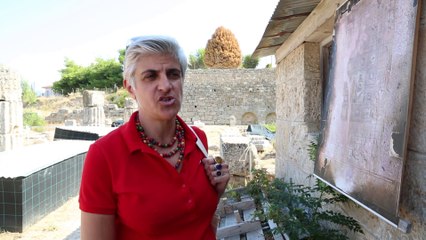 Ancient Corinthia and the American School of classical studies of Athens