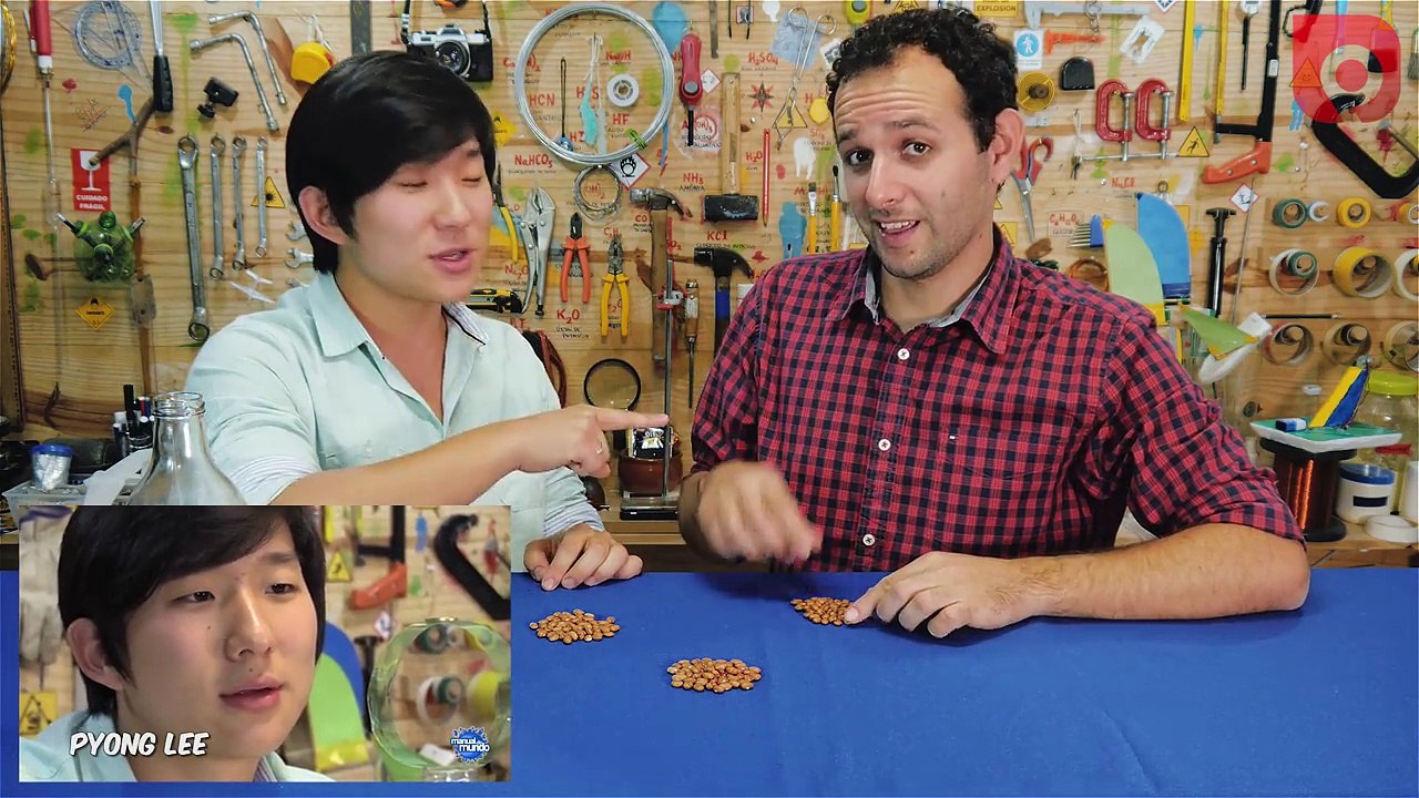 FEIJÕES MÁGICOS TRAIÇOEIROS (feat. Iberê Manual do Mundo) 【 PYONG LEE TV 】