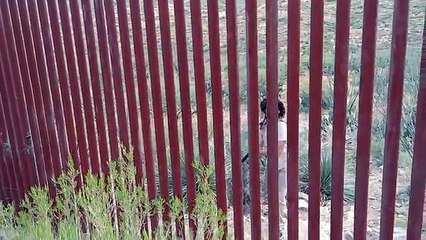 Voici comment on passe de la frontière Mexicaine aux Etats-Unis