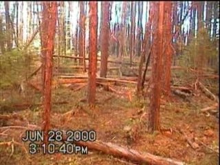 Jack Cohen Test Burn