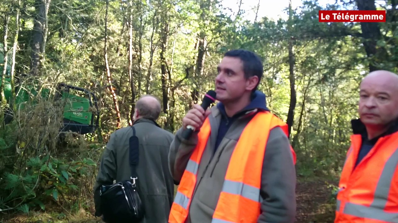 Reboisement. La Bretagne mise sur sa forêt !