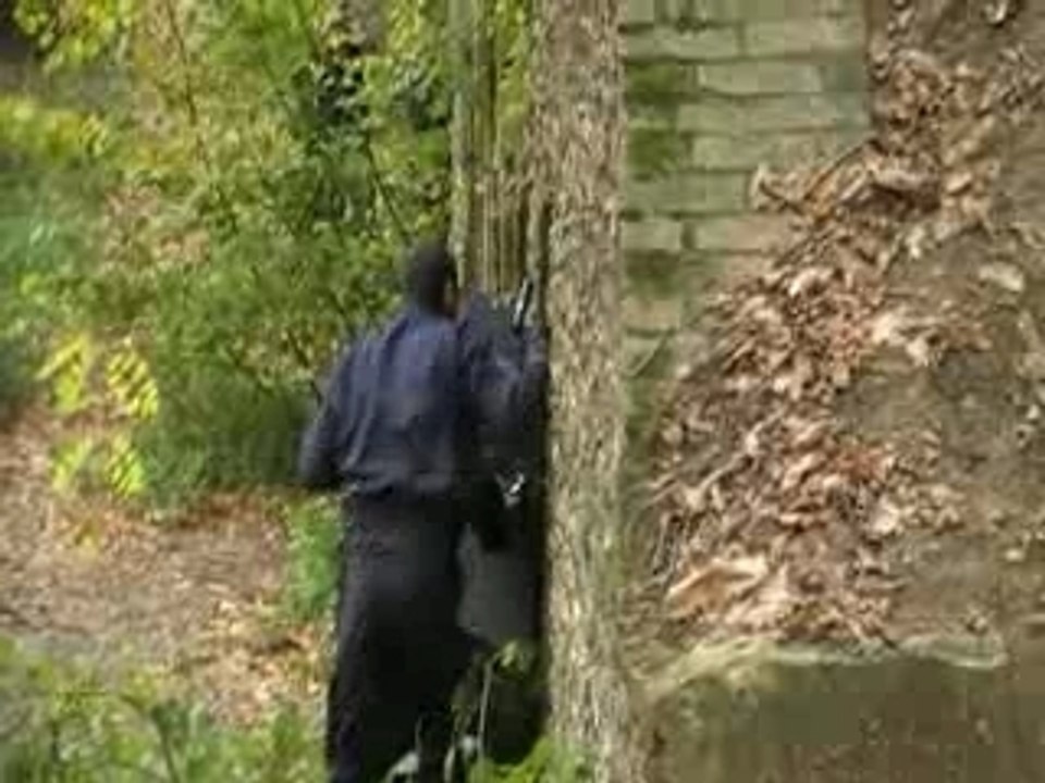 MOV06
