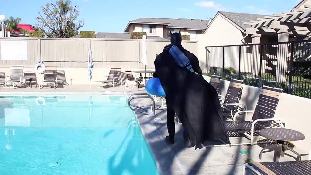 BATMAN vs Joker Venom bath time SPIDERMAN in Real Life Superhero movie frozen Elsa IRL goes to jail-g6bSdVNQkOk