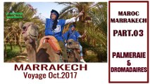 MAROC 2017. Part 03. Palmeraie de Marrakech et dromadaires (Hd 180p50)
