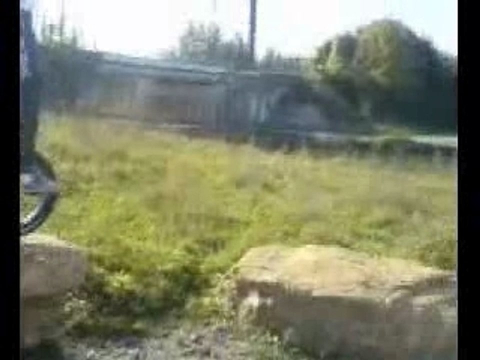 bob le dernier cru de chez white wine