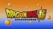 Dragon Ball Super Episode 113 ドラゴンボール超　第113話予告 Preview