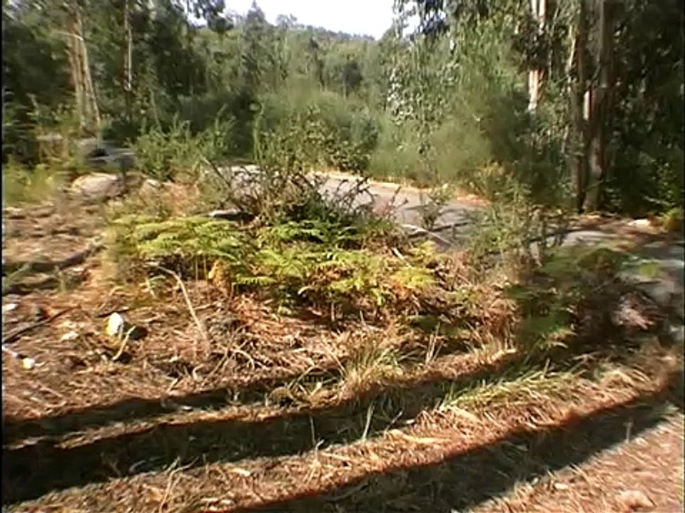 1997 Seat Ibiza TDi Review-XxpDKPptDUk