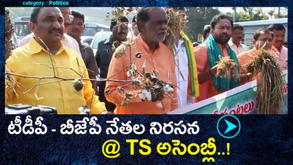 BJP, TDP Leaders Protest at Telangana Assembly