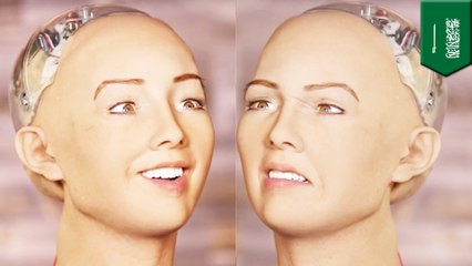 Saudi Arabia just gave a fembot citizenship