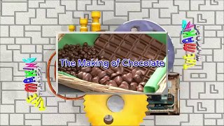 THE MAKING(English Version)(289)The Making of Chocolate