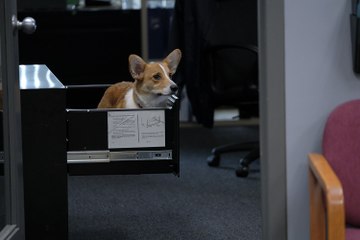 [Dirk Gently's Holistic Detective Agency Season 2] Episode 4 Full Eng Sub ((WATCH++FULL))