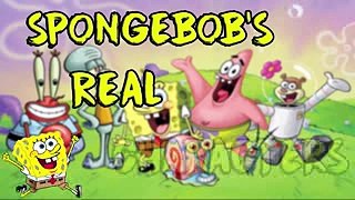 SpongeBob SquarePants Characters In Real Life!