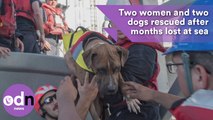 Two women and two dogs rescued after months lost at sea