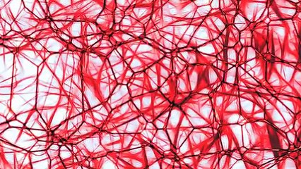 13 Canales De Youtube Que No Sabias Que Existían