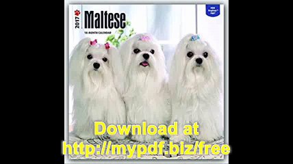 Maltese 2017 Square (Multilingual Edition)
