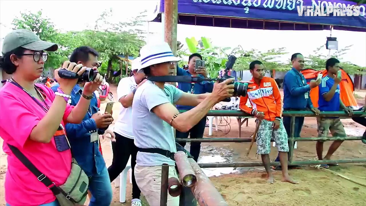 Elephant Giving Birth Kicks Mahout Off His Feet