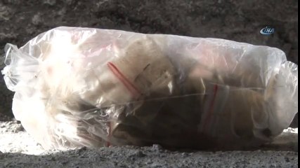 Dışkıların İçinde Esrar Satıp Alem Yapmışlar