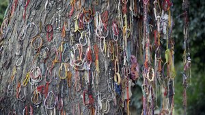 Exploring Cambodia's Killing Fields