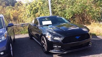 2015  Ford  Mustang  Monroeville  PA | Ford  Mustang Dealer Monroeville  PA