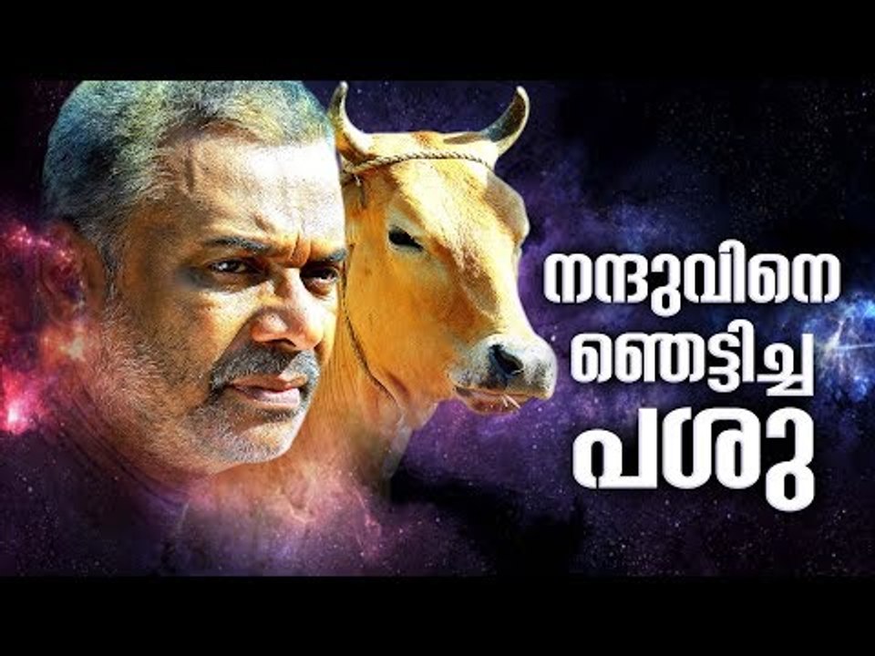 Malayalam Movie | Pasu | The Making Video | MD Sukumaran | Nandhu |