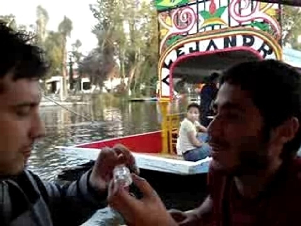 Coup de boule au glaçon
