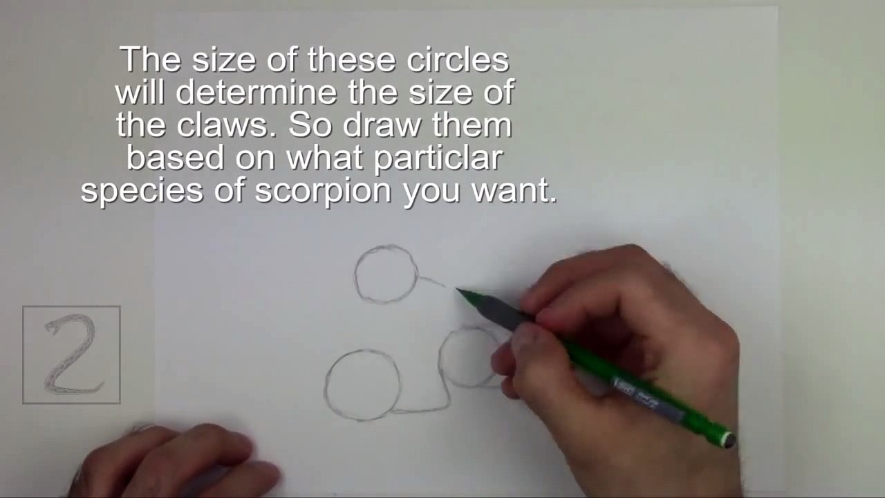 How to Draw a Scorpion
