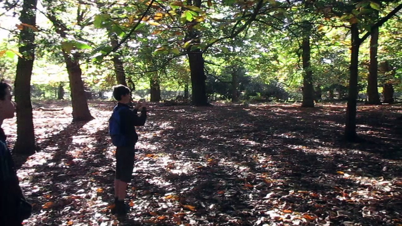 Richmond Park - October 2017